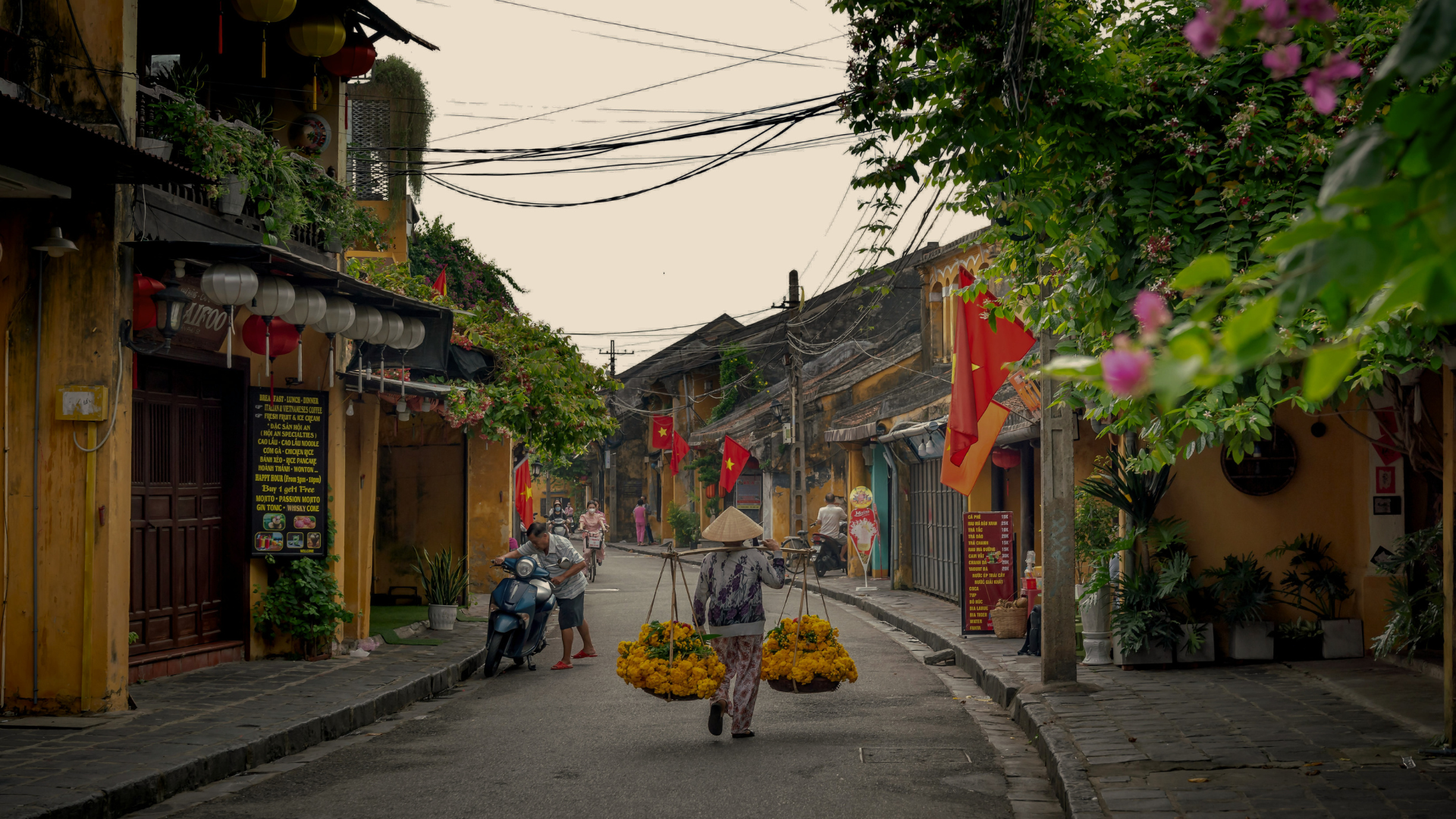 Vietnam collection